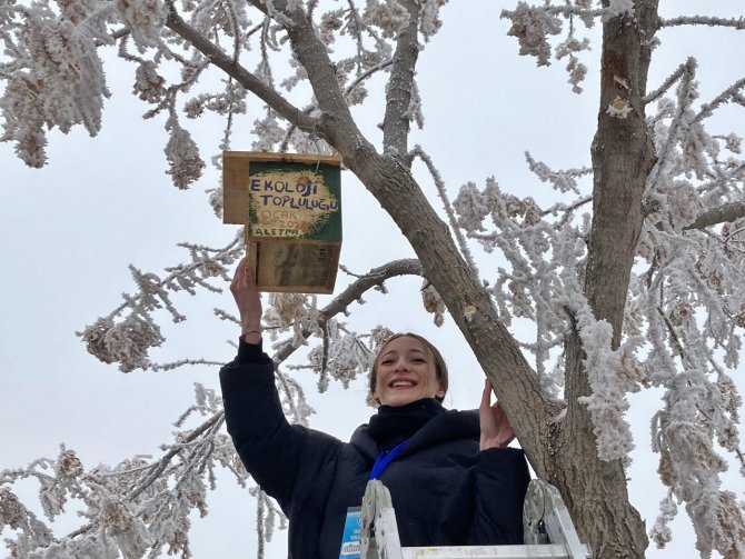 Üniversite Öğrencileri Kampüsü Kuş Evleriyle Donattı