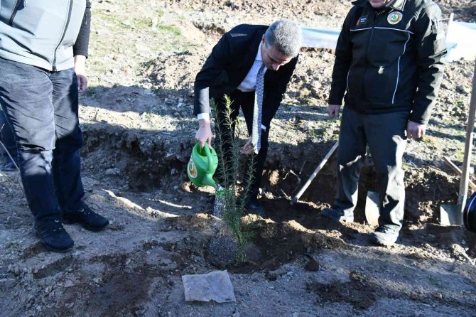 Köyde Bal Ormanı Oluşturuldu