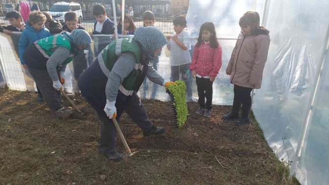 Okul Bahçesi Sera Alanı Oldu: Teneffüste Tarım Öğrenecekler