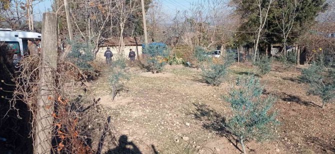 Ağaçta Kalp Krizi Geçiren Adam Hayatını Kaybetti