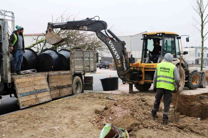 Londra Çınarları Şehit İ̇lhan Aras’a Güzellik Katacak