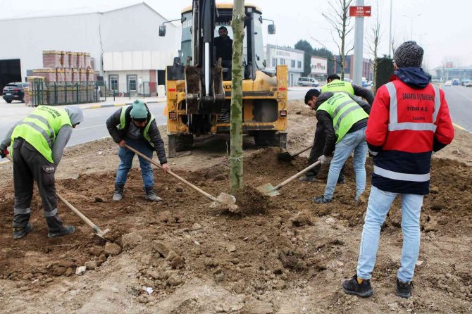 Londra Çınarları Şehit İ̇lhan Aras’a Güzellik Katacak