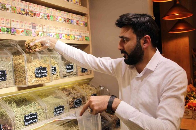 Soğuk Hava Doğal Şifa Deposu Ihlamura İlgiyi Arttırdı