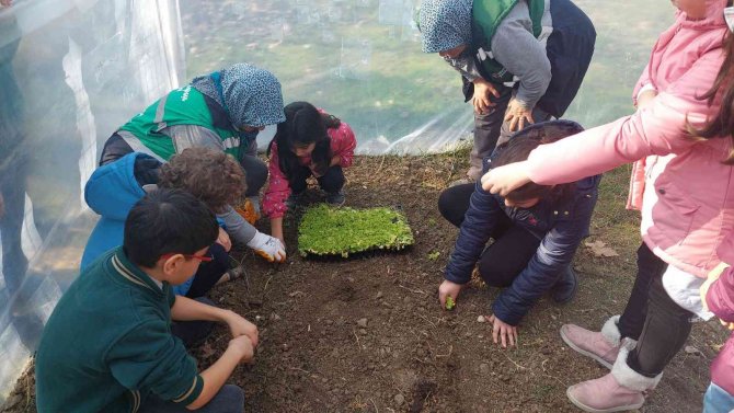 Okul Bahçesi Sera Alanı Oldu: Teneffüste Tarım Öğrenecekler