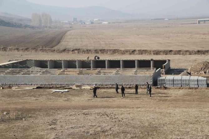 Bulanık’ta Sokak Hayvanları İçin Sıcak Yuva