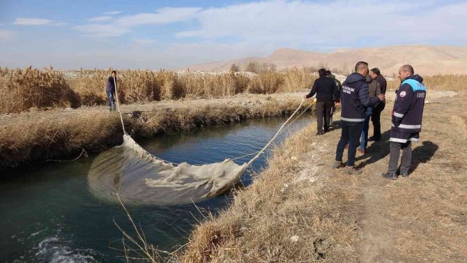 Yılda 3 Bin 950 Ton Üretimin Yapıldığı Tesislerde Alabalık Sağımı