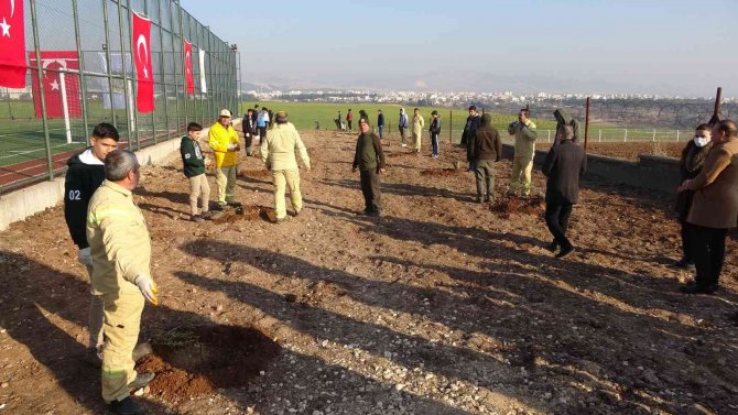15 Temmuz Şehitleri Anısına 251 Zeytin Fidanı Dikildi