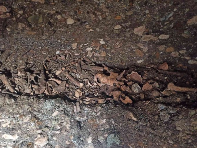 Yol Çalışmasında 1600 Yıllık Oda Mezar Bulundu