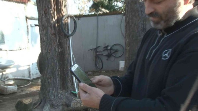 Arnavutköy’de Çoban Mahalledeki 8 Büyükbaş Hayvanı Çaldı