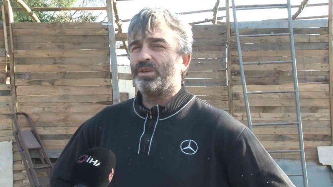 Arnavutköy’de Çoban Mahalledeki 8 Büyükbaş Hayvanı Çaldı