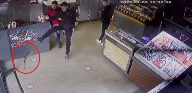 Balıkçıya Giren Atmaca Dehşet Yaşattı: O Anlar Kameraya Yansıdı