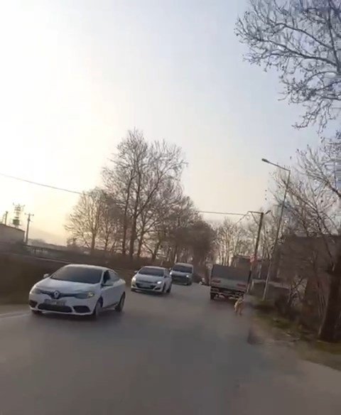Bursa’da Köpeğe Eziyet Eden O Sürücü Yakalandı