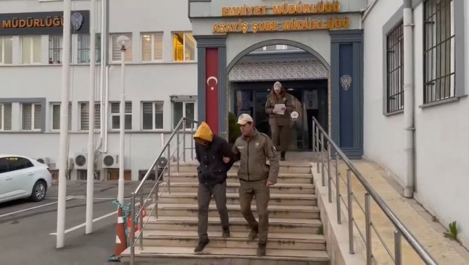 Bursa’da Köpeğe Eziyet Eden O Sürücü Yakalandı