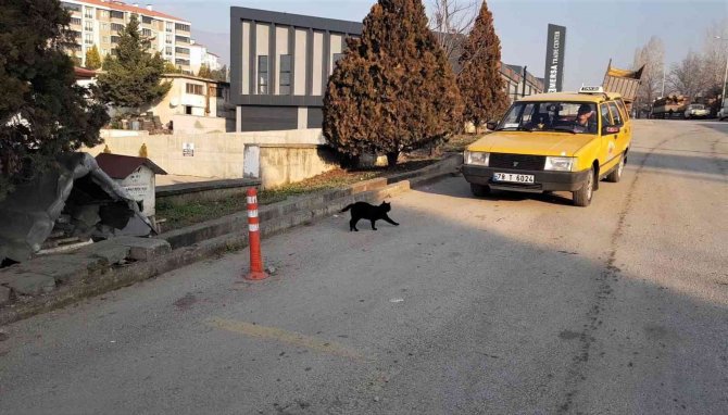 Her Gün Taksinin Yolunu Dört Gözle Bekliyorlar