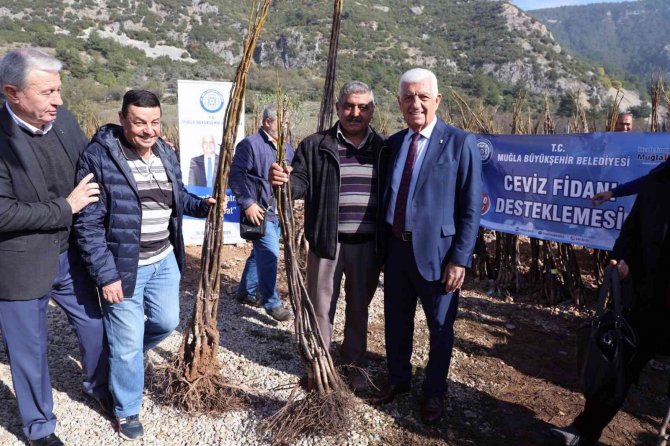 Muğla Büyükşehir, Meyve Fidanı Desteğine Başlıyor