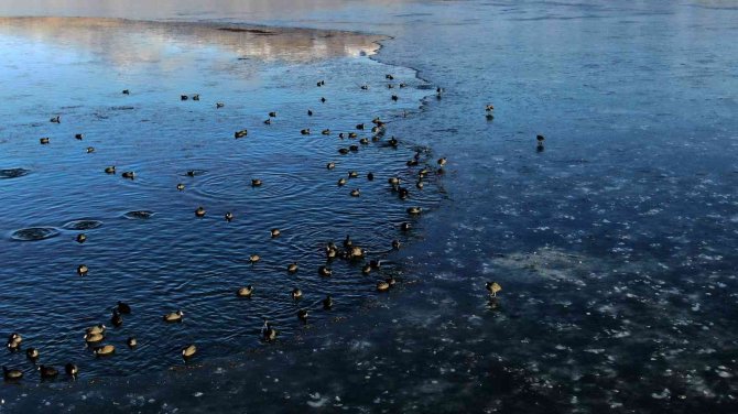 Sibirya Soğuklarının Yaşandığı Şehirde Göl Dondu
