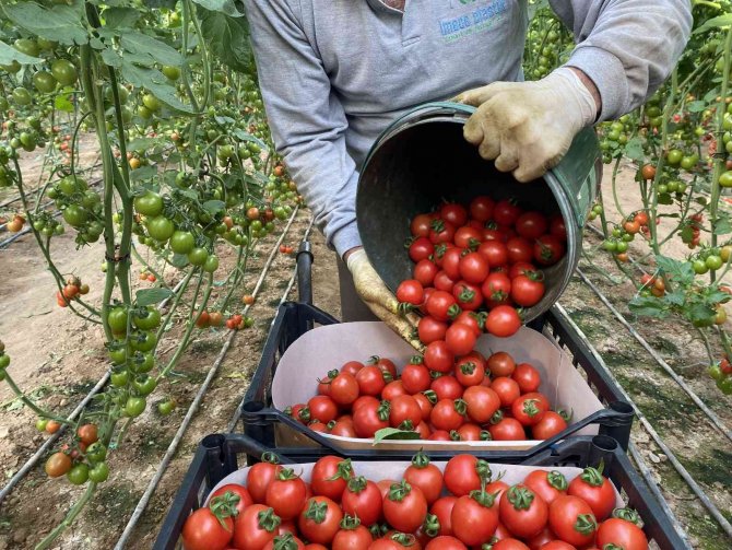 Uymsi̇b’nin 2023 İhracat Hedefi 175 Milyon Dolar