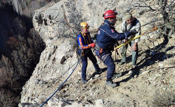 Kayalıklarda 5 Gün Boyunca Mahsur Kalan Keçileri Afad Kurtardı