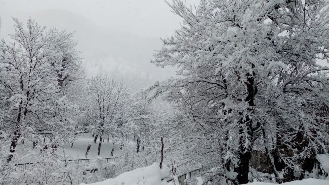 Sakin Şehir Şavşat’tan Kar Manzaraları