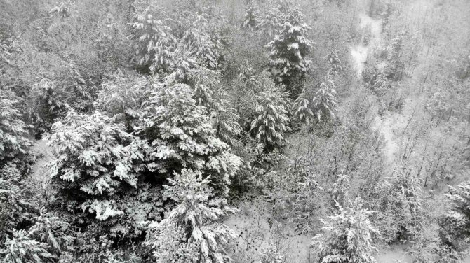 Erzincan’ı Çevreleyen Dağlar Beyaza Büründü