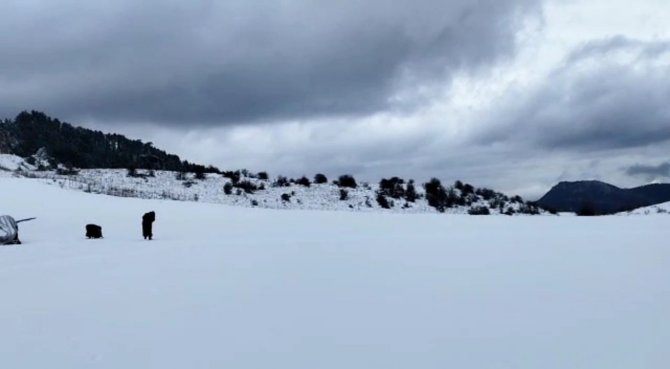 Keltepe Kayak Merkezi Beyaz Örtüyle Kaplandı