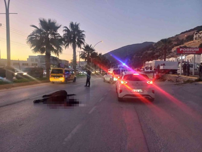 Otomobil Aniden Yola Çıkan Ata Çarptı: 2 Yaralı