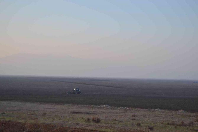 Ti̇gem, Marmara Gölü’nde Buğday Ve Ayçiçeği Yetiştirecek