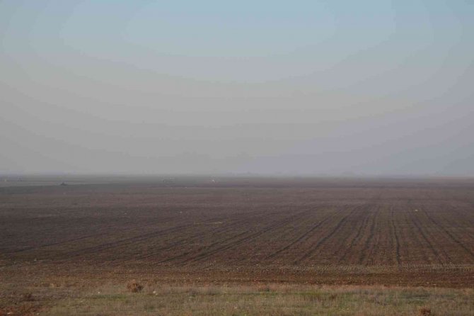 Ti̇gem, Marmara Gölü’nde Buğday Ve Ayçiçeği Yetiştirecek
