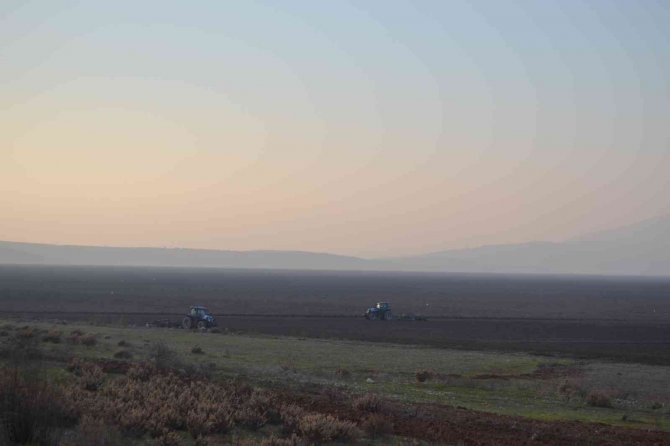 Ti̇gem, Marmara Gölü’nde Buğday Ve Ayçiçeği Yetiştirecek
