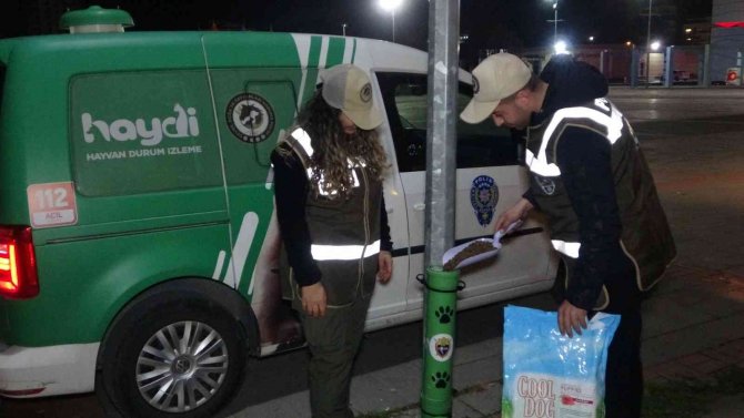 Uşak Polisi Yeni Yılda Da Sokak Hayvanlarını Unutmadı