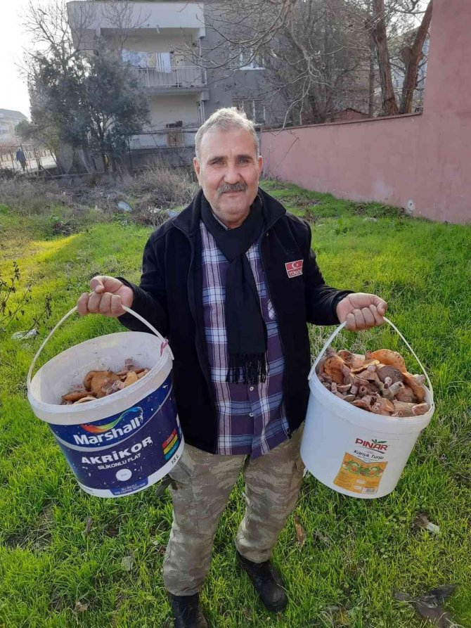 Burhaniye’de Melki Sezonu Devam Ediyor