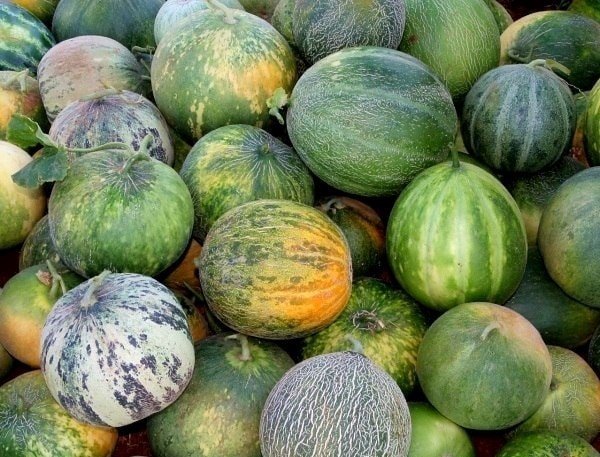 Karahallı Düğleği Tescil Aldı