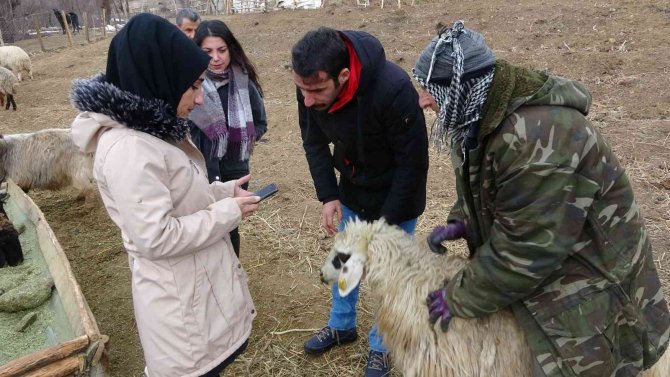 Yüksekovalı Çiftçiler "Tarım Cebimde" Uygulamasından Memnun Kaldı