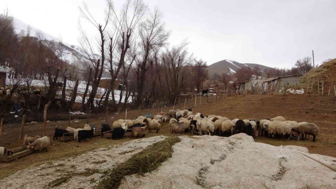 Yüksekovalı Çiftçiler "Tarım Cebimde" Uygulamasından Memnun Kaldı
