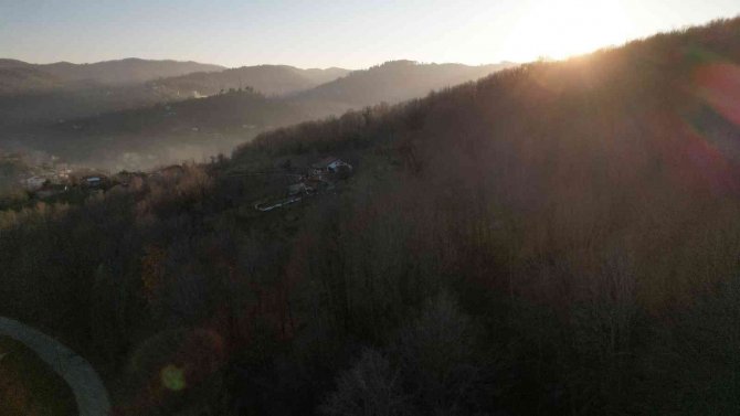 Zonguldak Ormanlarında Kış Güzelliği