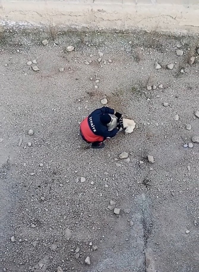 Kanala Düşen Köpeği İtfaiye Kurtardı
