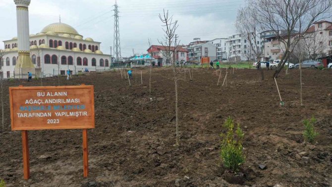 Başiskele’de Fidanlar Toprakla Buluştu