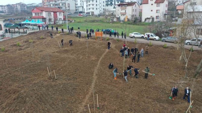 Başiskele’de Fidanlar Toprakla Buluştu