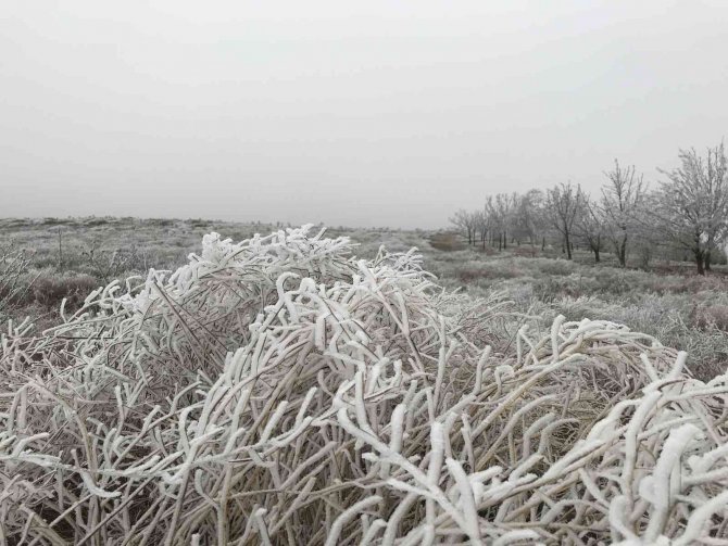 Eskişehir’de Etkili Olan Kırağı Eşsiz Manzaralar Sundu