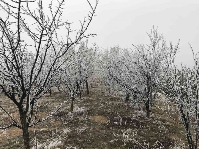 Eskişehir’de Etkili Olan Kırağı Eşsiz Manzaralar Sundu