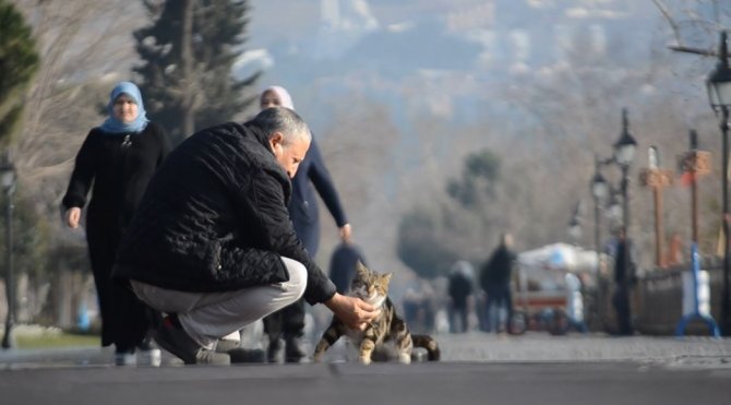 Tekirdağ’a Kıştan Önce Bahar Havası Geldi
