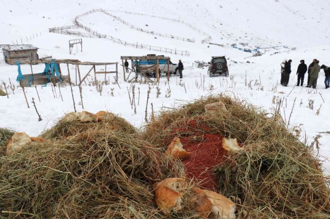 Zorlu Yolları Bu Kez Yaban Hayvanları İçin Aştılar