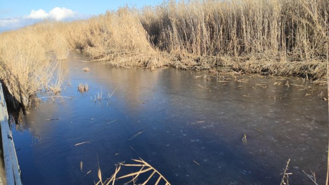 "Kuş Cenneti" Buz Tuttu