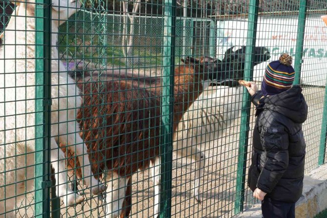 Doğal Yaşam Parkı Miniklerin İlgi Odağı Oldu