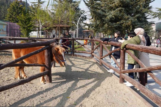 Doğal Yaşam Parkı Miniklerin İlgi Odağı Oldu