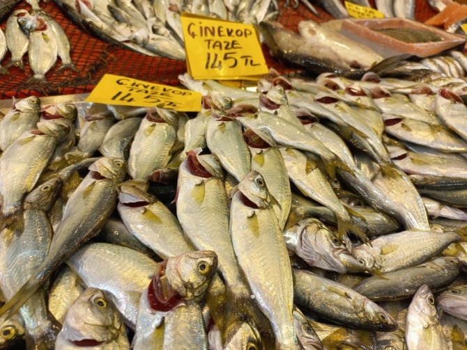 Havaların Geç Soğuması Balık Tezgahlarına Yansıdı