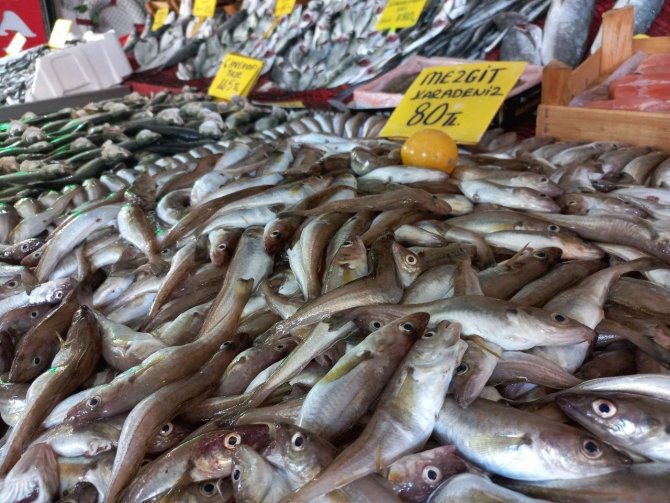 Havaların Geç Soğuması Balık Tezgahlarına Yansıdı