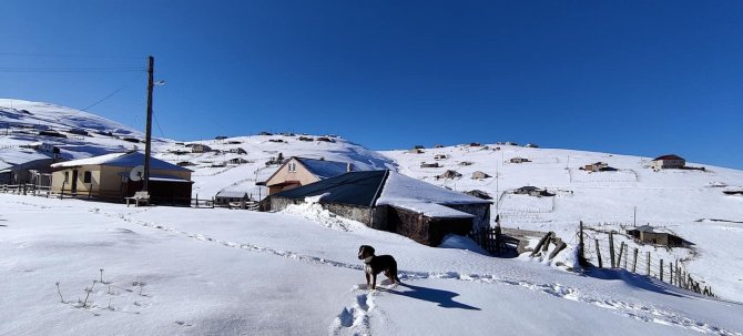 Doğu Karadeniz Yaylaları Kar Altında