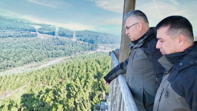 İ̇zmir’in Akciğerleri, Yangından 14 Yıl Sonra Yeşerdi