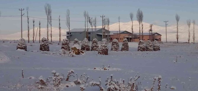 Özalp’ta Kar Yağışı